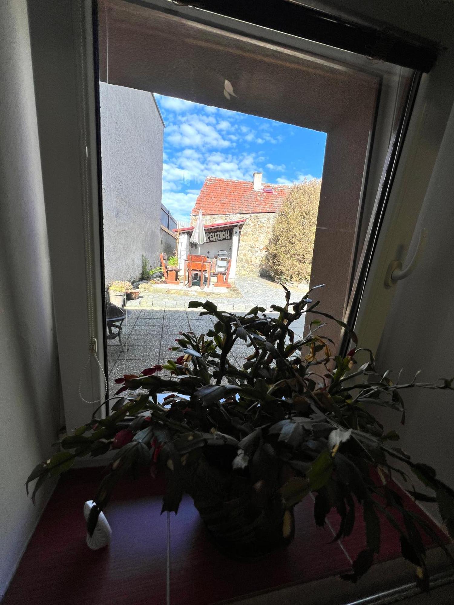 Penzion Na Ruzku Selčan 外观 照片